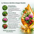 Gouttes Détox Lymphatique Kivo